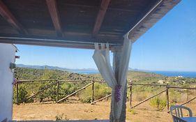Agrustos Paradise